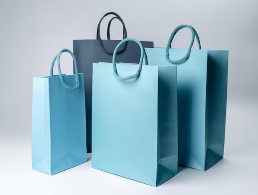 Paper Carry Bags Manufacturers