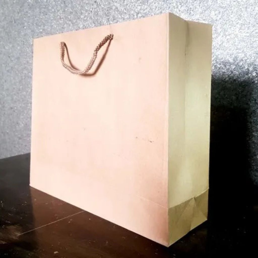 Paper Carry Bags Supplier In Ghaziabad